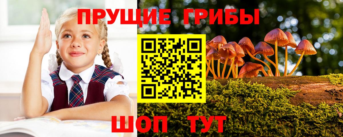 Галлюциногенные грибы Psilocybine cubensis  Галлюциногенные грибы Psilocybe  Вход с VPN  Конаково 